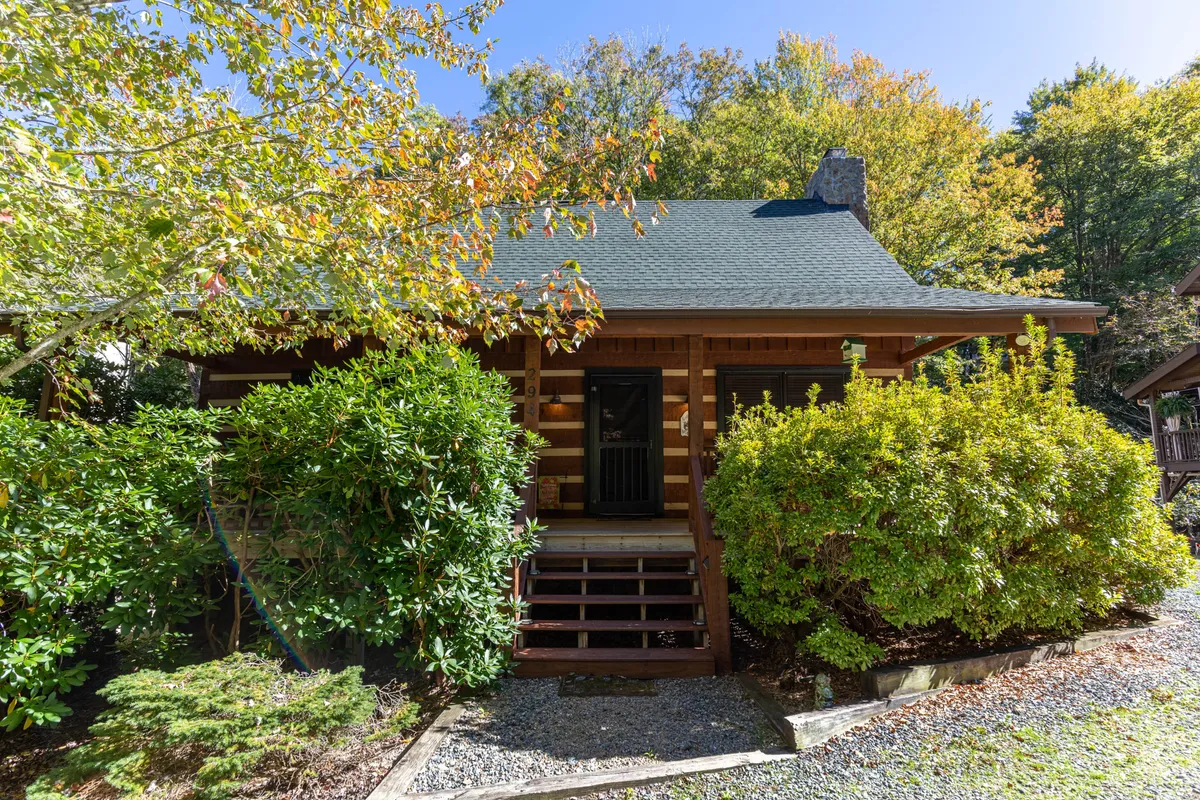 A welcoming exterior view of the Nut House log cabin, featuring a classic front porch surrounded by vibrant greenery. The cabin's rustic architecture hints at the mountain retreat experience awaiting inside.